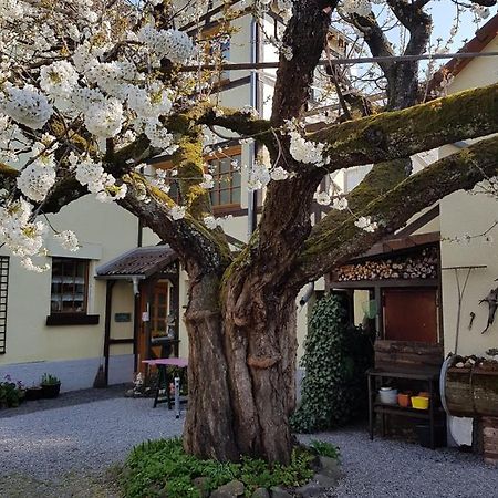 Ferienwohnung Zum-Alten-Kirschbaum Limburg an der Lahn Extérieur photo