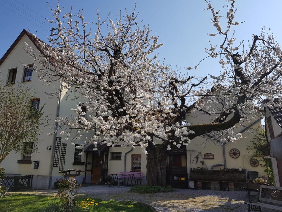 Ferienwohnung Zum-Alten-Kirschbaum Limburg an der Lahn Extérieur photo