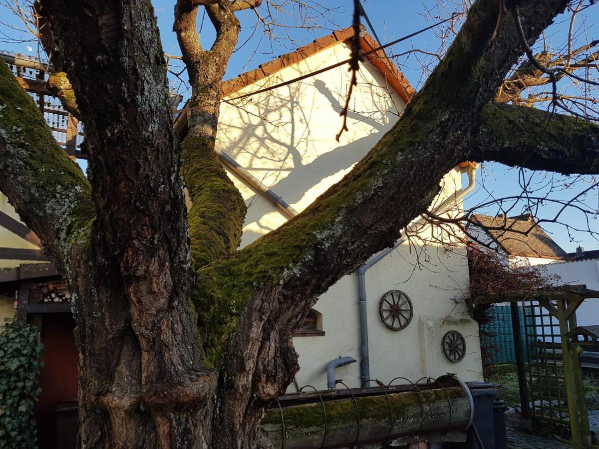 Ferienwohnung Zum-Alten-Kirschbaum Limburg an der Lahn Extérieur photo
