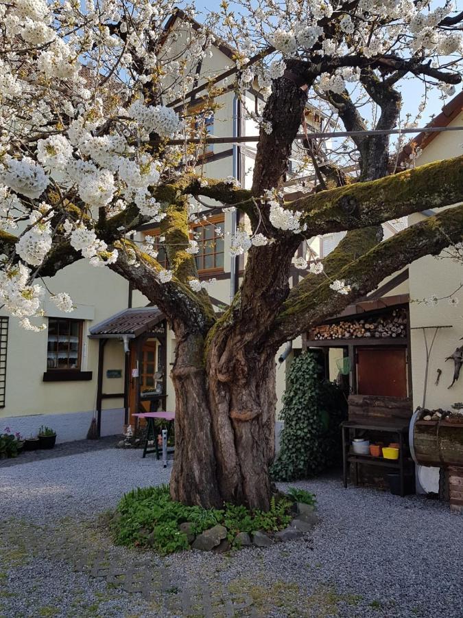 Ferienwohnung Zum-Alten-Kirschbaum Limburg an der Lahn Extérieur photo