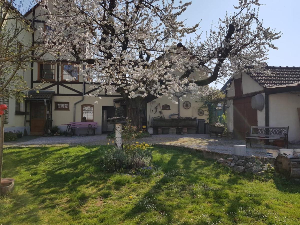 Ferienwohnung Zum-Alten-Kirschbaum Limburg an der Lahn Extérieur photo